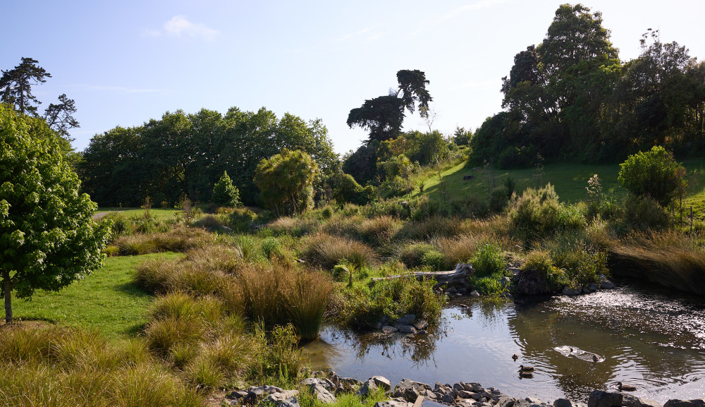 Taiaotea Stream - Environmental Landscaping - Natural Habitats