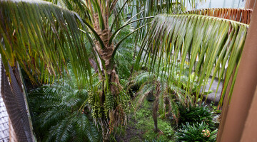 Auckland Zoo Commercial Landscaping Natural Habitats Hi Res 19