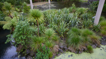 Auckland Zoo Commercial Landscaping Natural Habitats Hi Res 28