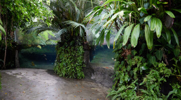 Auckland Zoo Commercial Landscaping Natural Habitats Hi Res 38