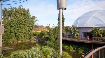 Auckland Zoo Commercial Landscaping Natural Habitats Hi Res 75