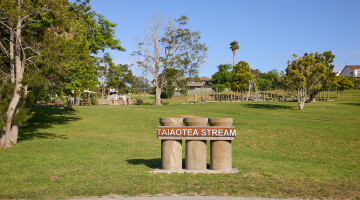 Taiotea Stream Natural Habitats 12