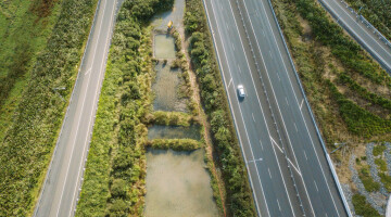 Waikato Expressway Infrastructure Planting Natural Habitats 24