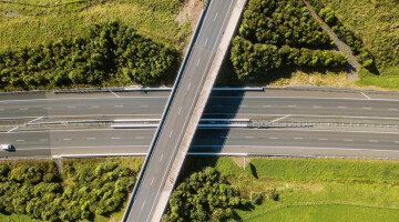 Waikato Expressway Infrastructure Planting Natural Habitats 3