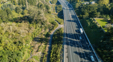 Waikato Expressway Infrastructure Planting Natural Habitats 54