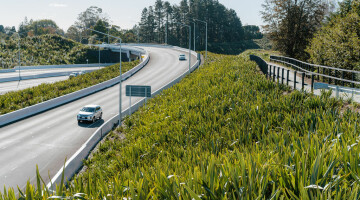 Waikato Expressway Infrastructure Planting Natural Habitats 68