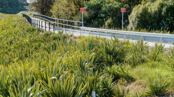 Waikato Expressway Infrastructure Planting Natural Habitats 69