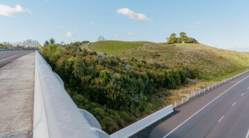 Waikato Expressway Infrastructure Planting Natural Habitats 6