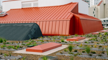 Auckland City Library Green Roof Bryan Lowe Auckland Council 15