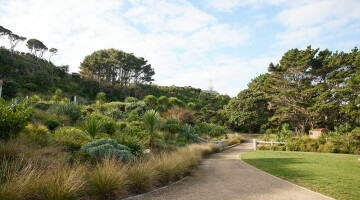 Muriwai Manor - Residential Landscaping - Natural Habitats