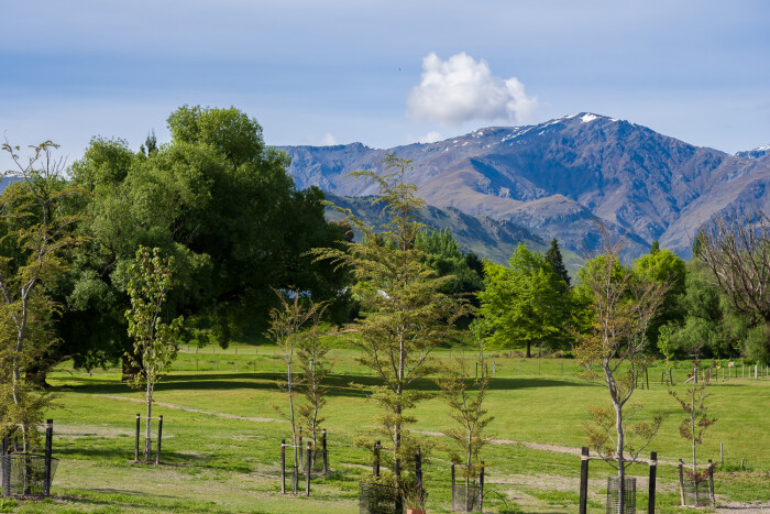 Queenstown