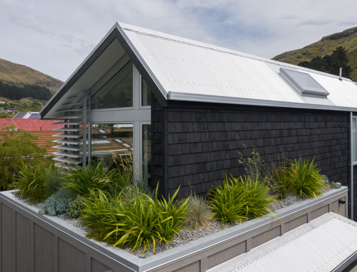 Whitfield St Greenroof Image 4 Mark Scowen