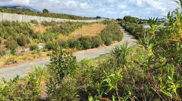 Bespoke commercial landscape in Wellington