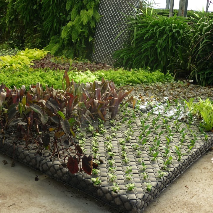 Planted eco-panel