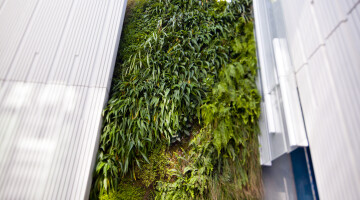 Natural Habitats Geyser Green Wall