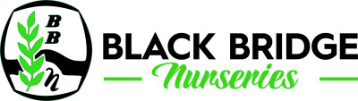 Black Bridge Nurseries