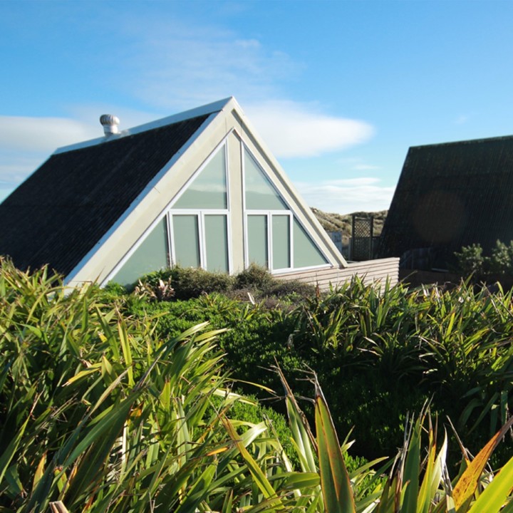 Established green roof
