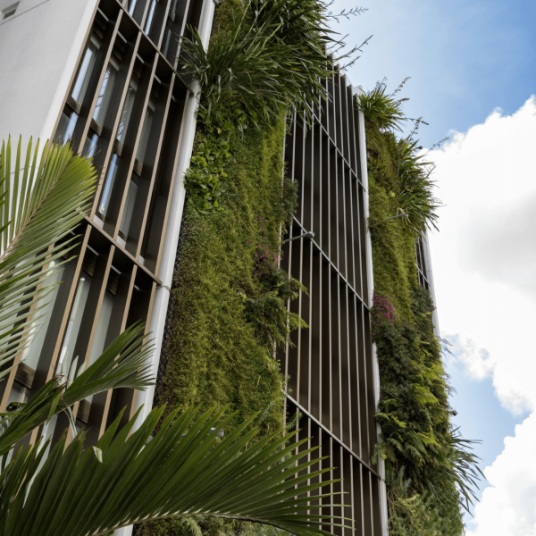 Green Walls and Green Roofs Natural Habitats