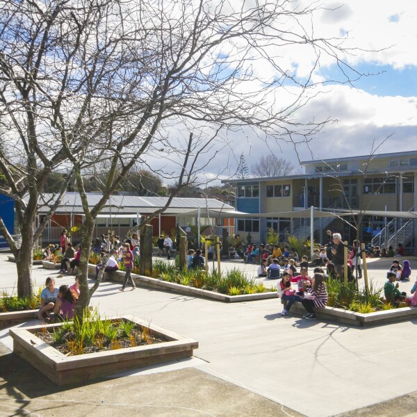 School Courtyards Natural Habitats