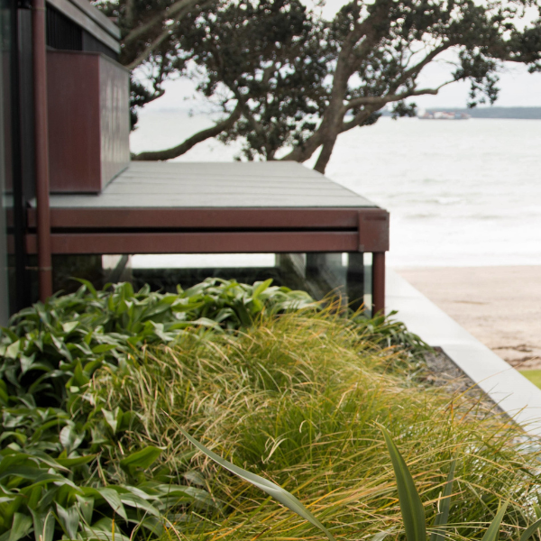 Green Roofs