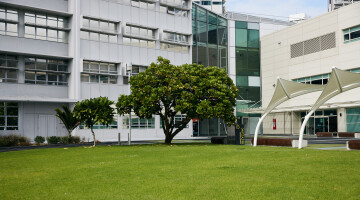 AUT Central and South Campus Garden Maintenance Natural Habitats 22