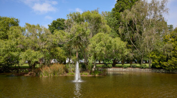 AUT Central and South Campus Garden Maintenance Natural Habitats 35