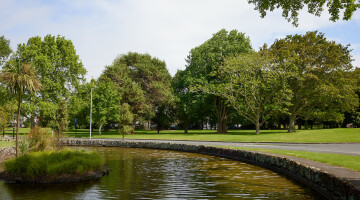 AUT Central and South Campus Garden Maintenance Natural Habitats 37