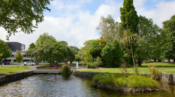 AUT Central and South Campus Garden Maintenance Natural Habitats 40