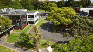 AUT Central and South Campus Garden Maintenance Natural Habitats 45