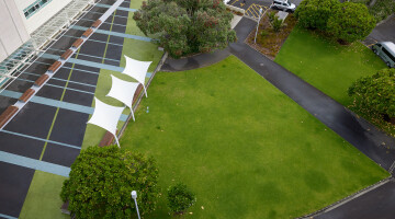 AUT Central and South Campus Garden Maintenance Natural Habitats 7