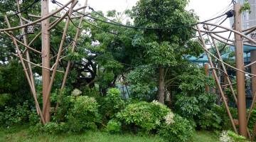 Auckland Zoo Commercial Landscaping Natural Habitats Hi Res 15