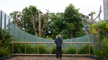 Auckland Zoo Commercial Landscaping Natural Habitats Hi Res 16