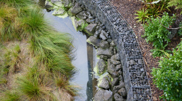 Auckland Zoo Commercial Landscaping Natural Habitats Hi Res 25