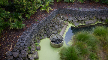 Auckland Zoo Commercial Landscaping Natural Habitats Hi Res 31