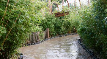 Auckland Zoo Commercial Landscaping Natural Habitats Hi Res 58