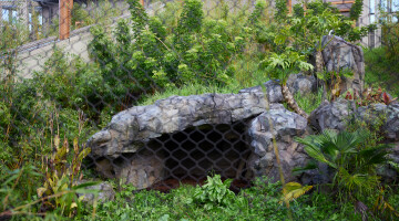 Auckland Zoo Commercial Landscaping Natural Habitats Hi Res 60