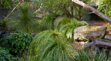 Auckland Zoo Commercial Landscaping Natural Habitats Hi Res 69