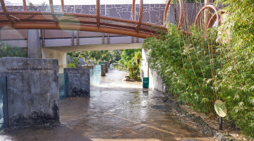 Auckland Zoo Commercial Landscaping Natural Habitats Hi Res 70