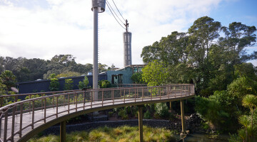 Auckland Zoo Commercial Landscaping Natural Habitats Hi Res 74