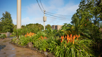 Auckland Zoo Commercial Landscaping Natural Habitats Hi Res 77