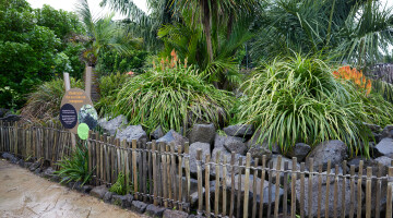 Auckland Zoo Commercial Landscaping Natural Habitats Hi Res 9