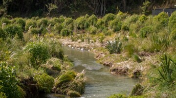 Duck Creek Revitalisation 3