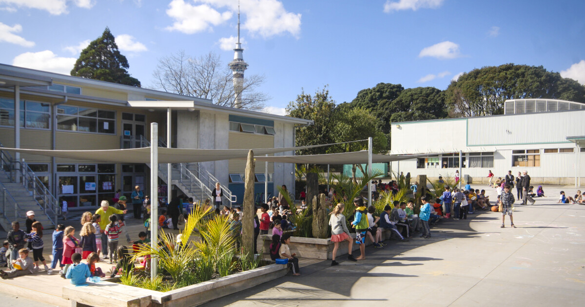 Freemans Bay School - Natural Habitats Landscapes