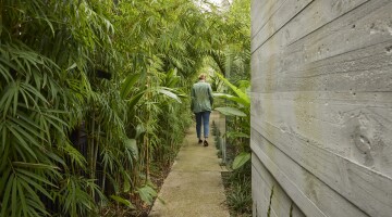 Garden of Mt Eden Natural Habitats 3