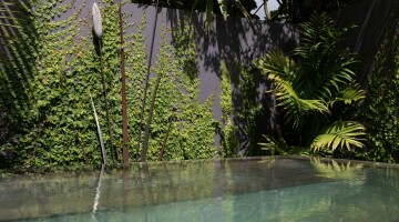 Grey Lynn Sanctuary Residential Landscaping Natural Habitats 19