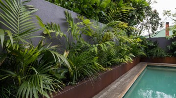 Grey Lynn Sanctuary Residential Landscaping Natural Habitats 5