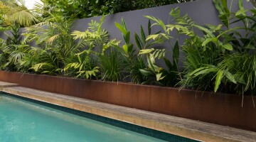 Grey Lynn Sanctuary Residential Landscaping Natural Habitats 8