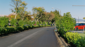 Hamilton Airport Commercial Planting Natural Habitats Lo Res 27