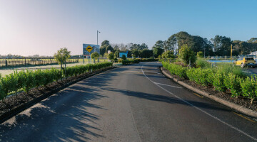 Hamilton Airport Commercial Planting Natural Habitats Lo Res 3