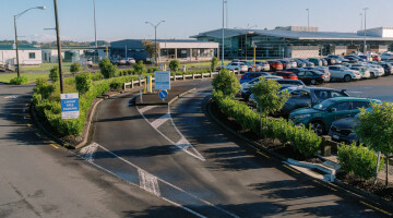 Hamilton Airport Commercial Planting Natural Habitats Lo Res 43